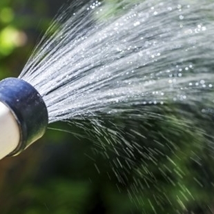 8月庭木の剪定方法【庭の歳時記】